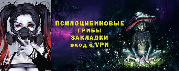 эйфоретик Пестово