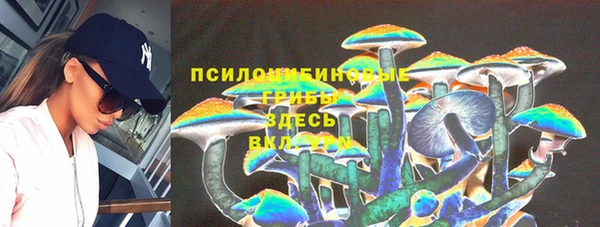 стафф Переславль-Залесский