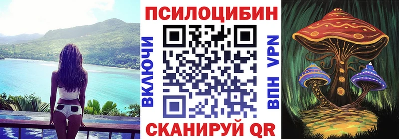 закладка  Арамиль  Псилоцибиновые грибы мухоморы 